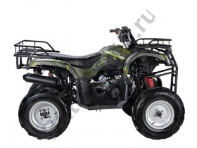 Квадроцикл WELS ATV Purga 170