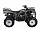 Квадроцикл WELS ATV Purga 170