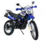 Мотоцикл Racer Panther RC300-GY8X синий