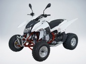 Квадроцикл QuadRaider 450 спортивный белый карбон