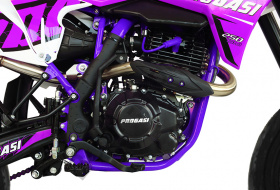 Мотоцикл Кроссовый PROGASI Super Max 250 SM (ZS172MM) с ЭПТС Purple