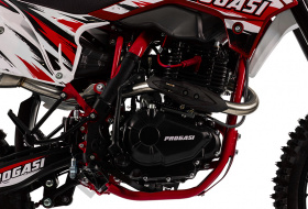 Мотоцикл Кроссовый PROGASI Super Max 300 PRO Red