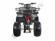 Квадроцикл WELS ATV Thunder 200
