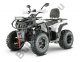 Квадроцикл YACOTA VIKING NEW 200 PRO белый