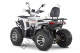 Квадроцикл YACOTA VIKING 200 PRO белый