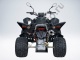 Квадроцикл QuadRaider 450 спортивный черный карбон
