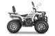 Квадроцикл YACOTA VIKING 200 PRO белый
