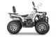 Квадроцикл YACOTA VIKING NEW 200 PRO белый