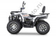 Квадроцикл YACOTA VIKING 200 PRO белый