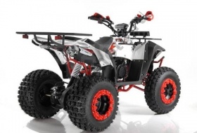 Квадроцикл Wels ATV THUNDER EVO X2 200