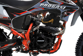 Мотоцикл Кроссовый PROGASI Palma 300 Orange